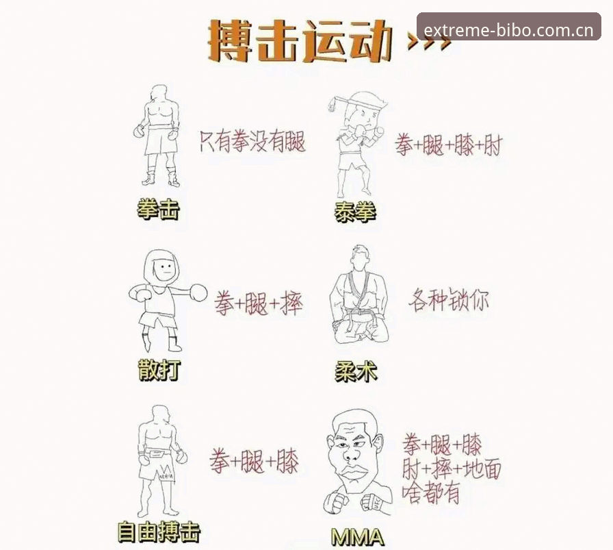 必博体育功能对比操作教程：从新手到达人的实战指南